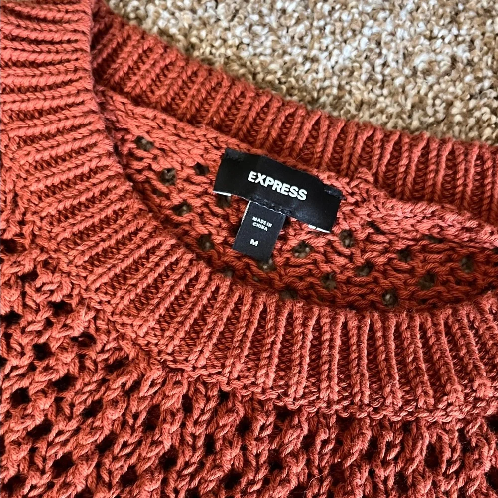 Express Rust Knit Sweater - Picture 3 of 6